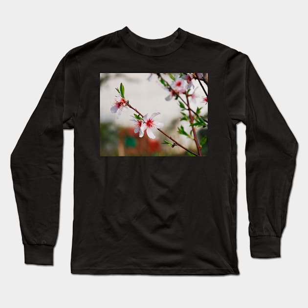 Almond Blossom Long Sleeve T-Shirt by jojobob